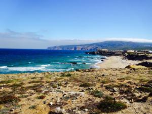 10269498_10152285549773513_9209204270240449832_n