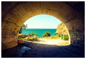 10393716_10152239520293513_2071403622555327316_n