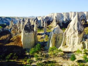 10479735_10152418100968513_7193517166228530014_n