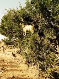 10500446_10152267659583513_3984329979395885097_n