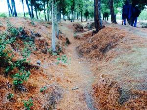 10615557_10152418121603513_496492958987045889_n