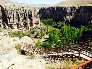 10678709_10152418096503513_5650384588481739109_n