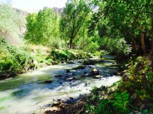 10686708_10152418096918513_4769082313255156170_n