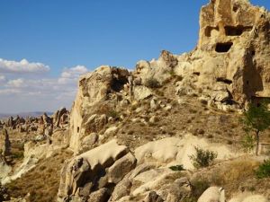 10710537_10152418099133513_9048179401688649415_n