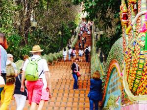 11001819_10152730198693513_8823875369769920858_n