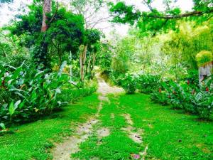 11012082_10152861993973513_4314020911504333857_n