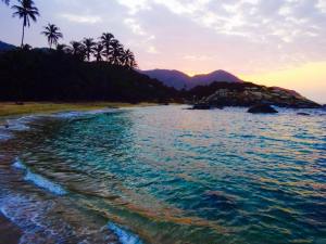 11173355_10152867361418513_5595903775118059758_n