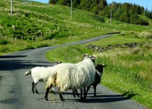 10497463_10152220844218513_1914943829248461308_o